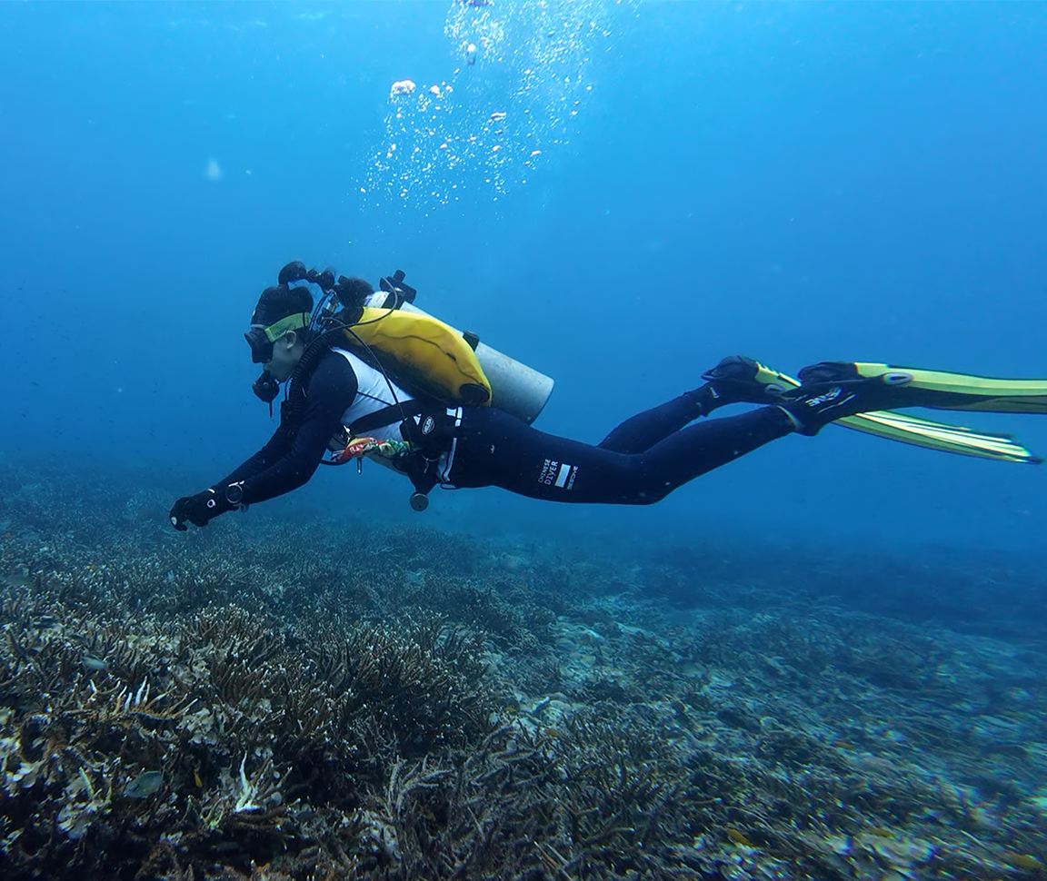 水下通信導航系統-輕量版的常見問題