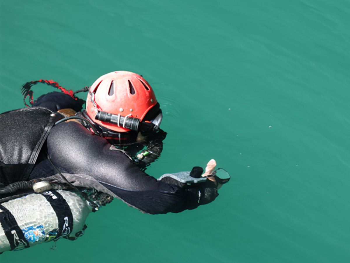 都安 桃花水母天窗